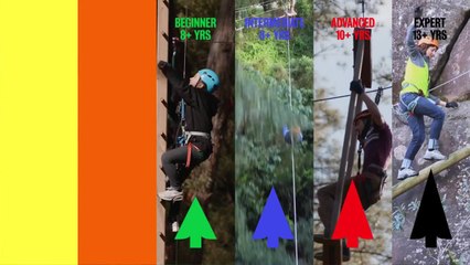 TA Hype Reel V2-Small