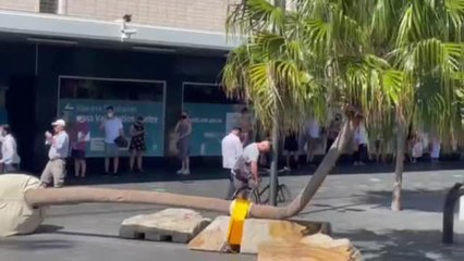 Queues down the street at Wollongong Vaccination Centre