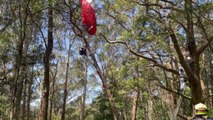 Emergency services rescue paraglider caught in tree