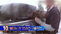 ‘불타는 차’ 반려견 구하라…경관의 전격 구출작전