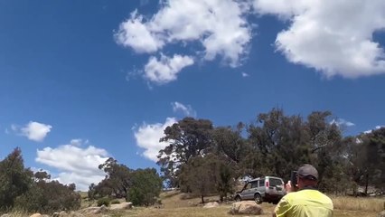 Rescued wedge-tailed eagles return to the skies _ Nov 29, 2021 _ Bendigo Advertiser