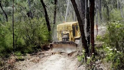 BDN - Soil Conservation Service fire trail work