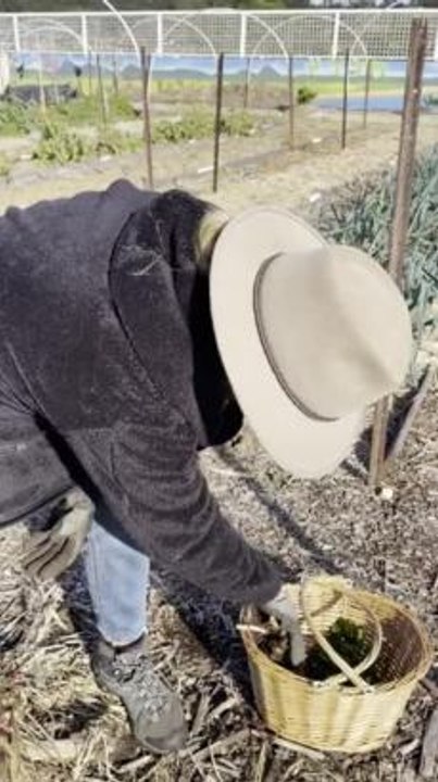 Farm on the Green at Club Sapphire, Merimbula