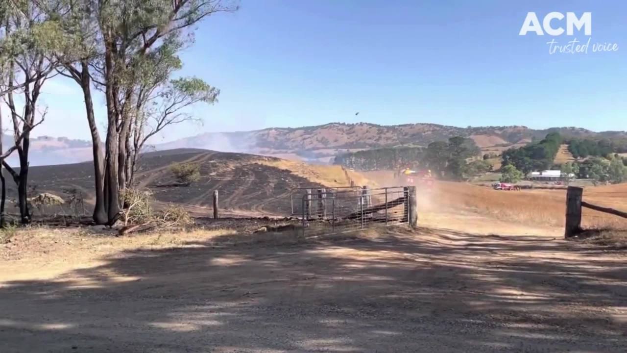 CFA and FFMVic responding to a Glenhope bushfire | Bendigo Advertiser | Jan 2022