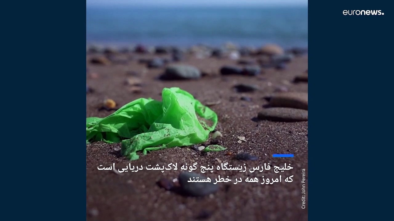 زباله‌های پلاستیکی عامل تشدید انقراض لاک‌پشت‌های خلیج‌فارس