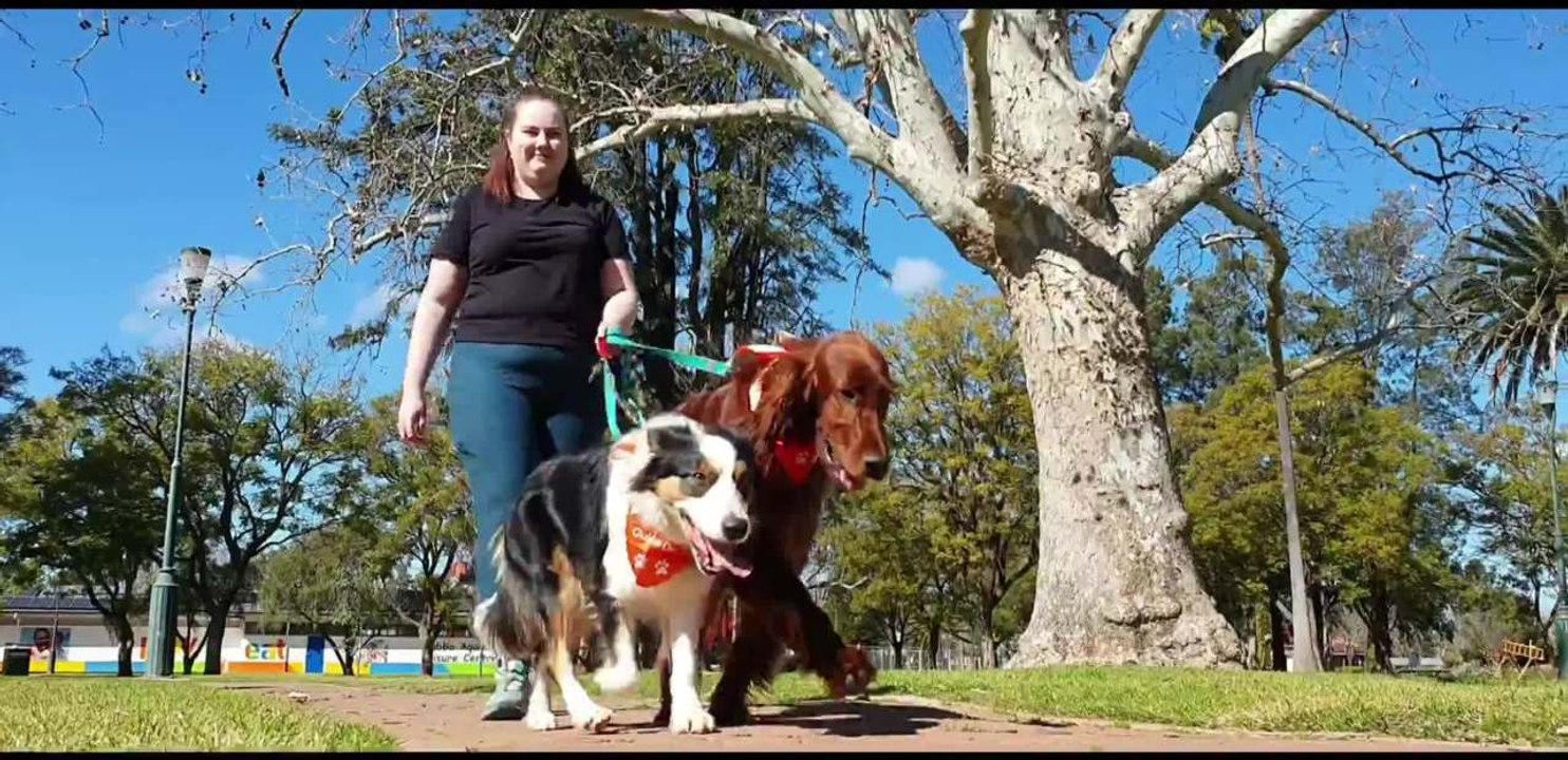 Daily Liberal - Pawgust