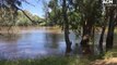 Communities evacuated as Lachlan River continues to rise | November 16, 2021 | Forbes Advocated