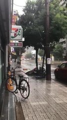 Maitland Mercury Meg Japan 3