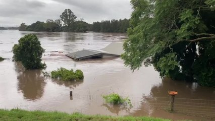 House floating down Manning River 2021 floods