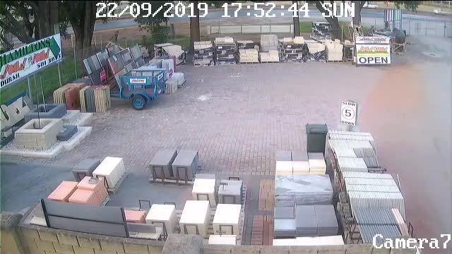 Tiger stolen from Soils Aint Soils