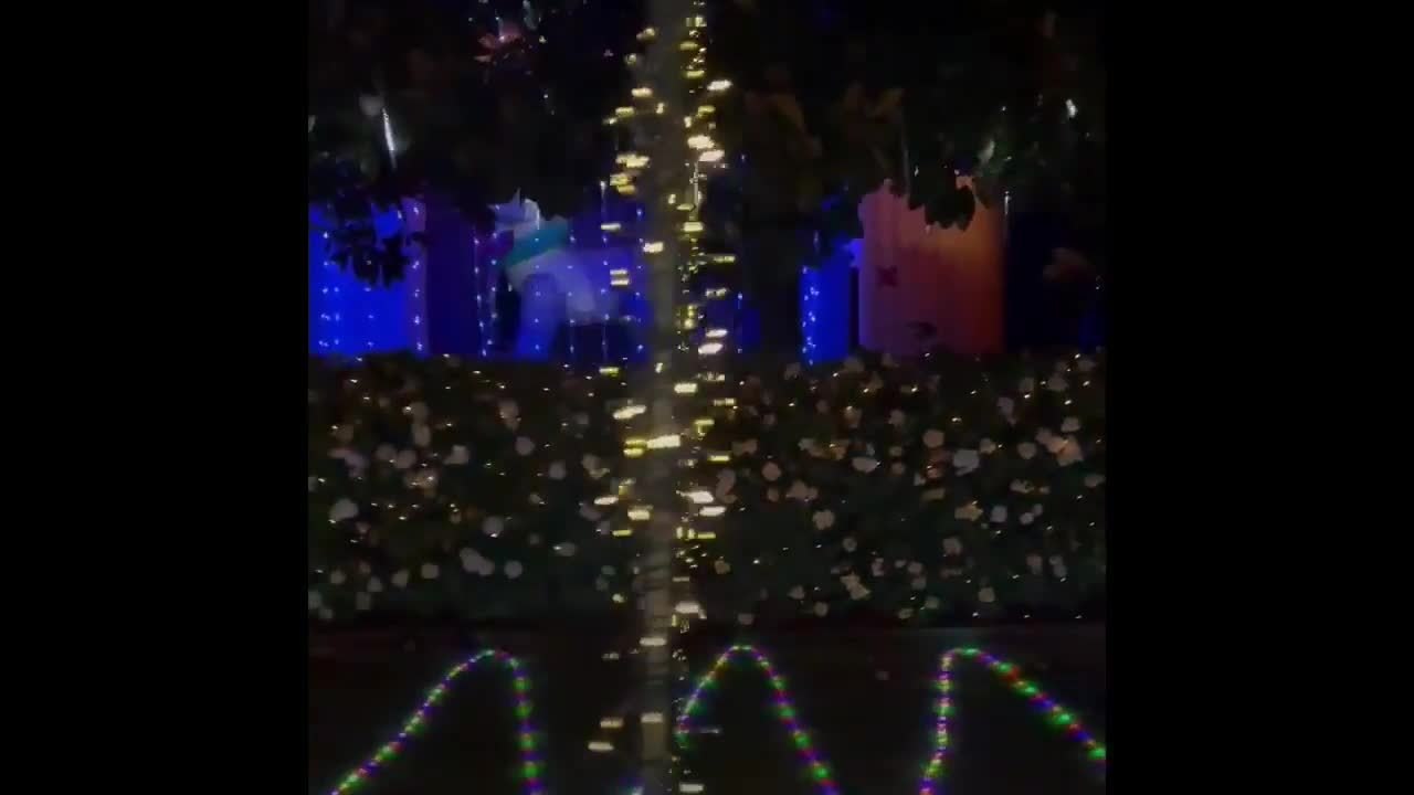 Christmas lights around Maitland video Dailymotion