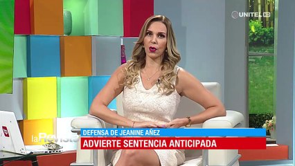 Abogado señala como una "ficción jurídica" las bases para enjuiciar por la vía ordinaria a Añez