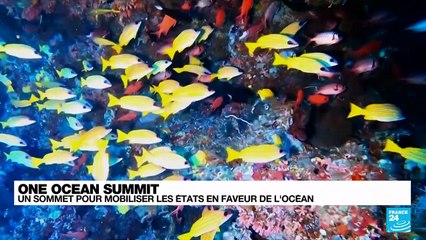 One Ocean Summit : un sommet pour mobiliser les États en faveur de l'océan