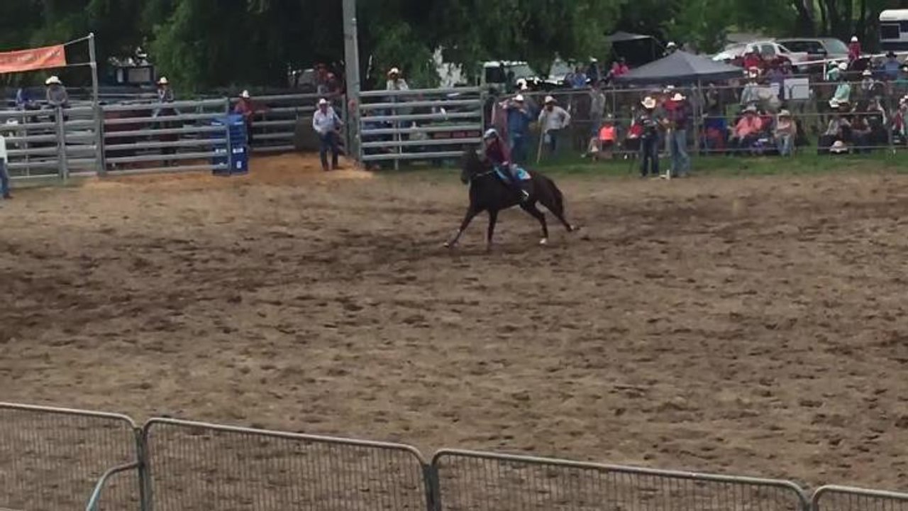 SCONE ADVOCATE: Barrel racing