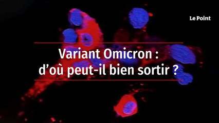 Variant Omicron : d'où peut-il bien sortir ?