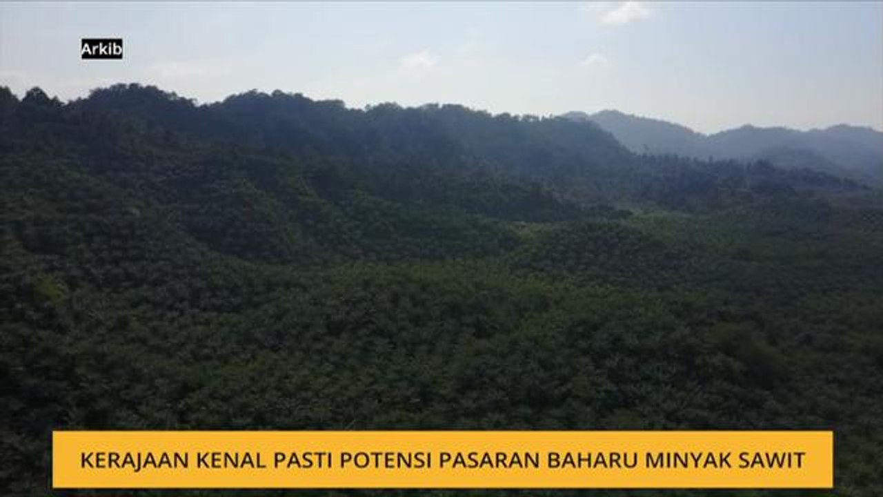 Kerajaan kenal pasti potensi pasaran baharu minyak sawit