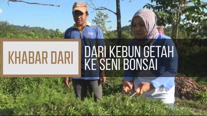 Khabar Dari Terengganu: Dari kebun getah ke seni bonsai