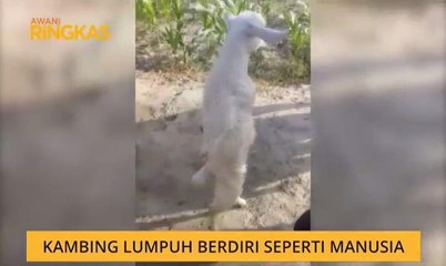 AWANI Ringkas (6:00PM)