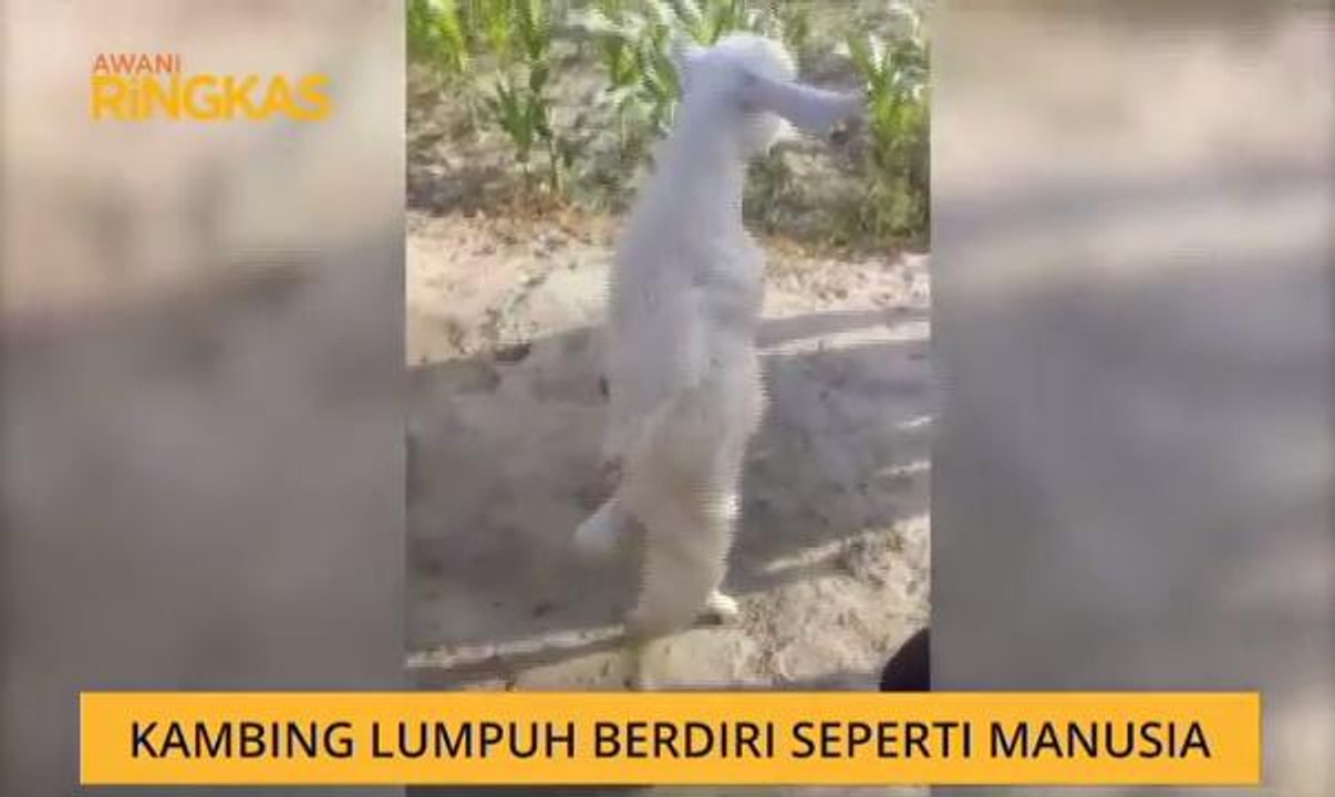AWANI Ringkas (6:00PM)