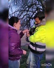 Perros en adopción en Villanueva del Árbol