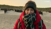 Winterzeit, Robbenzeit: Reburtenrekord auf Helgoland erneut gebrochen