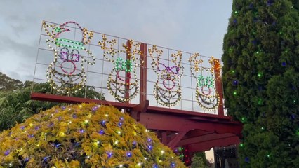 Make a Wish Foundation Xmas lights  -  December 9, 2021 -  The Advocate