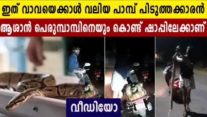 ഇവനാണെന്റെ മുത്ത് മോൻ, പെരുമ്പാമ്പിനെ കഴുത്തിലിട്ട് നടുറോഡിൽ ഷോ | Oneindia Malayalam