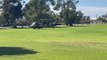 Black Hawk helicopters land at Bolton Park | November 18, 2021 | The Daily Advertiser