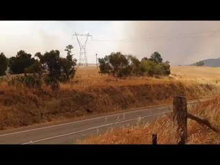 David Harrison watches Dunns Road bushfire