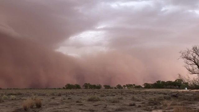 FBC34E8F-8203-432A-9800-4FAB34B42834