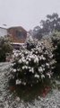 Snow falling at Pelverata after Antarctic blast brings cold weather to Tasmania - November 2021 - The Examiner