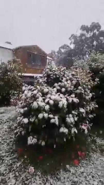 Snow falling at Pelverata after Antarctic blast brings cold weather to Tasmania - November 2021 - The Examiner