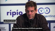 Argentine - Del Potro : “Ce ne sera pas facile de vivre sans tennis”