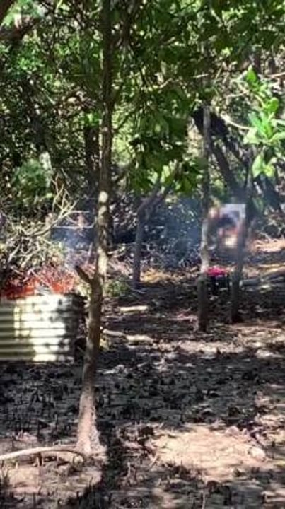 Russell Islanders fined by Queensland fisheries