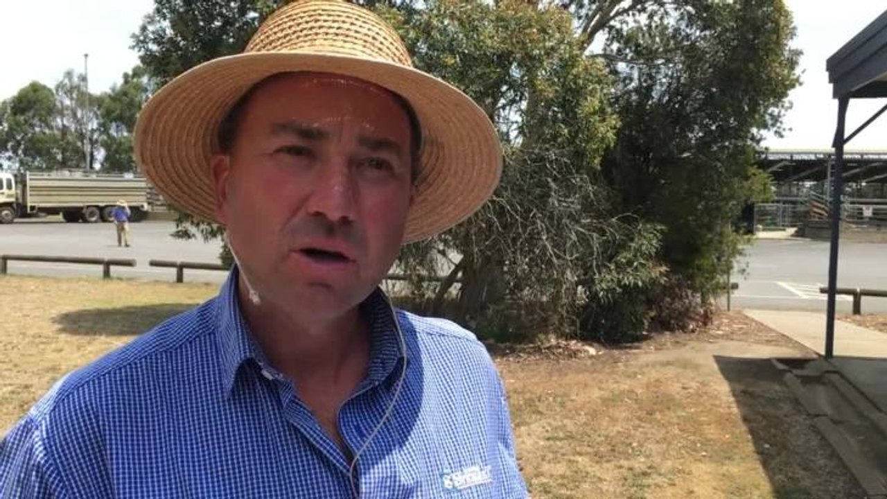 Stock & Land: Auctioneer Jamie McConachy speaks after the Colac steer weaner sale