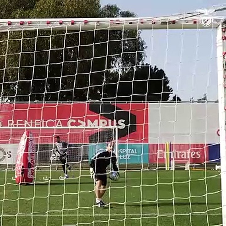 treino benfica
