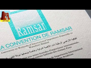 الجزائر واحة تمنطيط بـ أدرار منطقة رطبة مصنفة