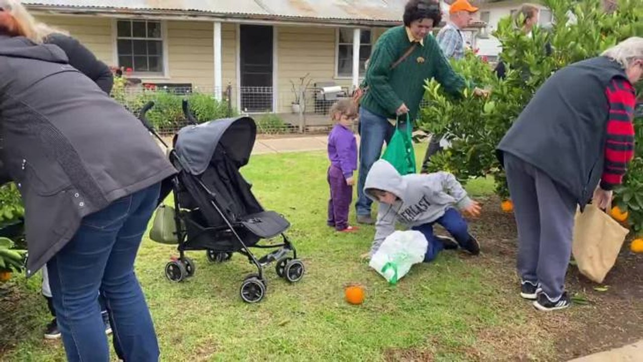 2021 orange festival bingara