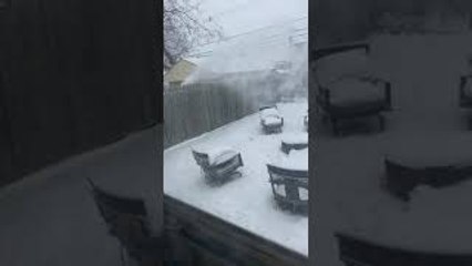 Rude Neighbor Sends Snow Over Fence