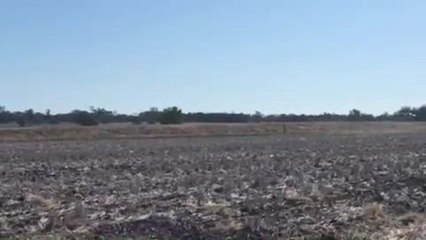 XAg drone swarm demonstration at IA Watson Grain Research Institute Narrabri NSW
