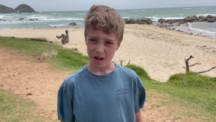 Arden van der Mast helps koalas - November 2021 - Port Macquarie News