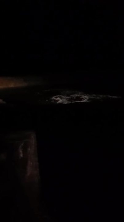 video-1553471092