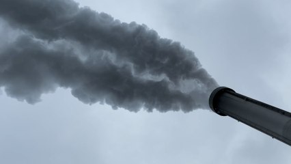 Taux de dioxines records :  «A Ivry, les oeufs de poule sont impropres à la consommation»