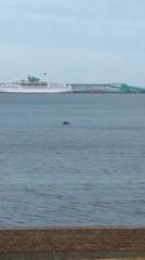 Teenagers on blow-up mattress in Port Lincoln