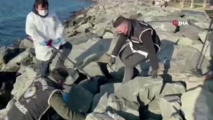 Şafak Mahmutyazıcıoğlu cinayetine ilişkin firari şüpheli Seccad Y. yakalandı