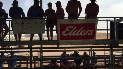 Oliver Mason opening the sale