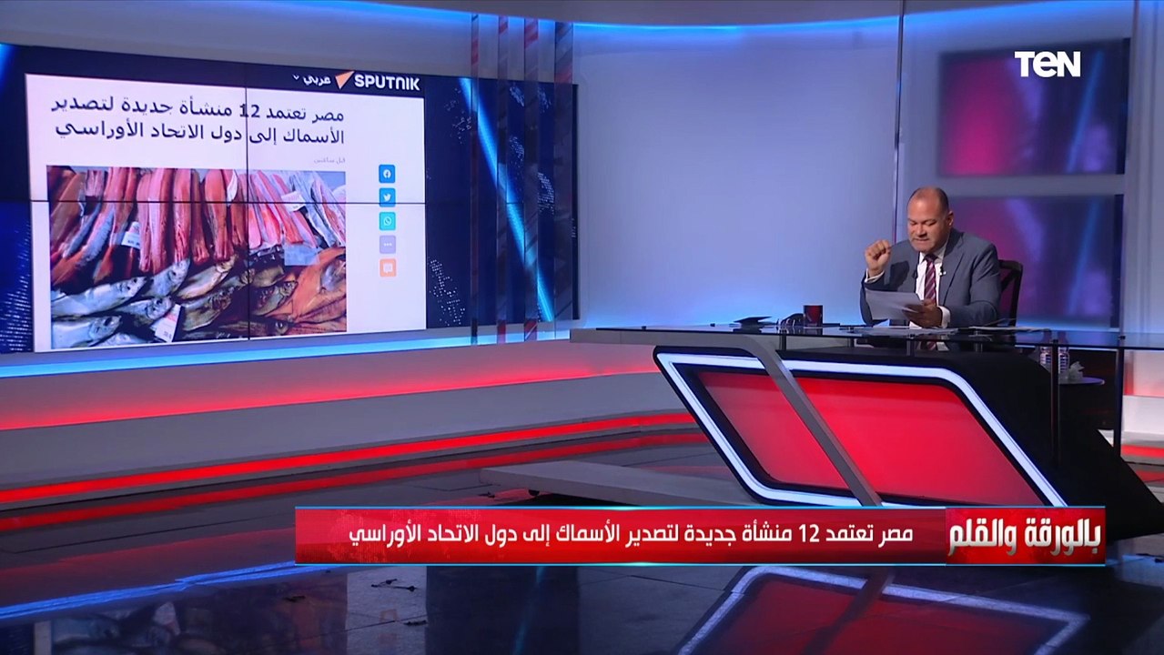 الديهي يذيع خبرين مفرحين قد ينعشا الاقتصاد المصري الفترة القادمة.. تعرف عليهما
