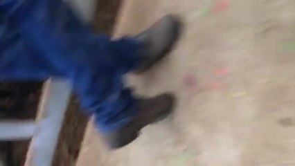 Stock & Land: Store cattle sold at Leongatha