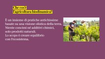 Agricoltura biodinamica, cosa c'è da sapere: le risposte a 8 domande