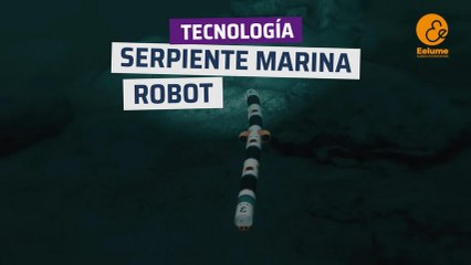 Descargar video: [CH] Eelume, la serpiente marina robótica